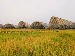 -中国天府农业博览园