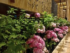 -北京四季酒店