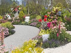 -东方体育中心(地铁站)