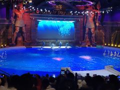 -哈尔滨波塞冬海底世界