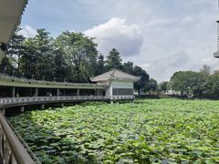 -荔湾湖公园