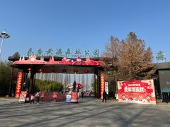 -黄海国家森林公园