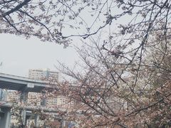 -上海南浦大桥长途旅游客运站