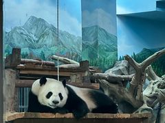 -武汉动物园