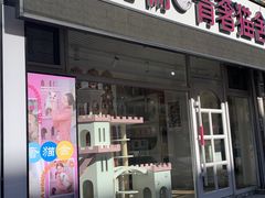 -青奢宠物·青奢猫舍