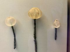 -雅典国家考古博物馆(Ethniko Archaiologiko Museo)
