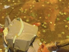 -庆江南江南菜(张家港吾悦店)