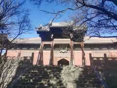 -善化寺