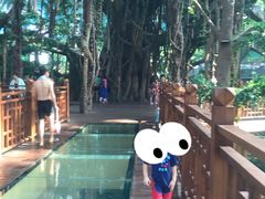 -沈阳龙润夏宫温泉水乐园