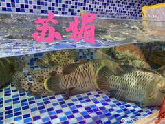 -欧记·龙城港(欣都店)