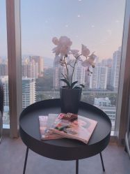 -芙芬芳·半永久纹眉（深圳旗舰店）