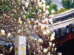 -龙华寺