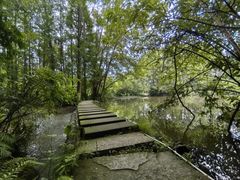 -桤木河湿地公园