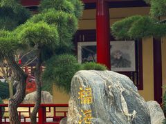 -庐山风景名胜区-东林大佛