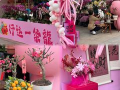 -文华公园(禅城区)