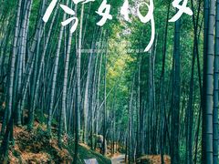 -黄山翡翠谷景区