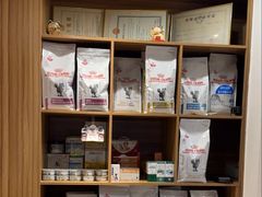 -御宝贝·A梦猫科宠物医院(国际猫友好医院)