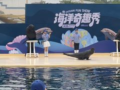 -秦皇岛乐岛海洋王国