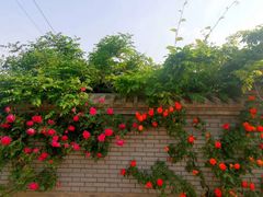 -长安上水缘度假庄园