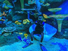 -华夏文旅海洋公园