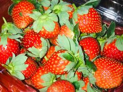 -广东茂名森林公园