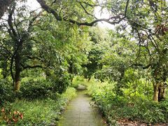 -张坝桂圆林公园