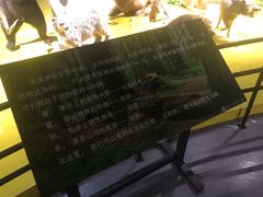 -枫叶小镇奥特莱斯
