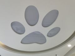 -美联众合动物医院·24h京西诊疗中心