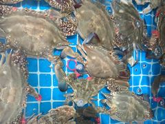 -宾朋海鲜特色美食餐厅·纯手工鲅鱼水饺(兴海路店)