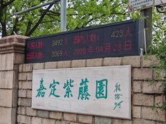 -嘉定紫藤园