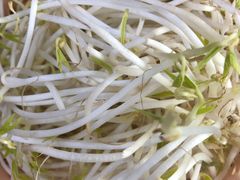 -张氏父子常德肠子馆(红星总店)