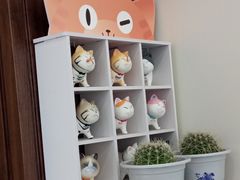-美联众合动物医院·24h京西诊疗中心