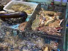 水产区-日进一片海.生腌海鲜火锅.宵夜烧烤(三里屯总店)