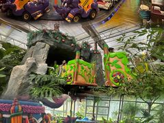 -南宫五洲植物乐园