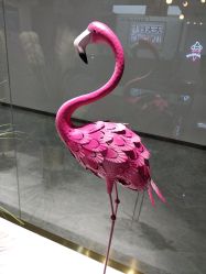 -天天向上儿童摄影(新华创意产业园店)