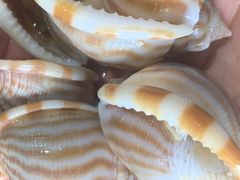 -蓝珊甄选海鲜自助·火锅大排档(近阿那亚店)