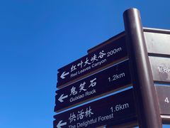 -鬼笑石后山停车场