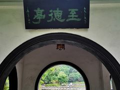 -红梅公园