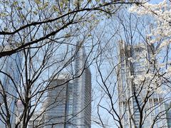 -陆家嘴中心绿地