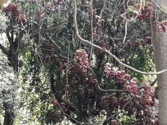 -云溪植物园