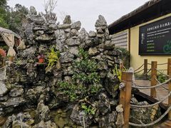 -二荆条·蜀鲜汇城市森林火锅