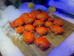 -汉来海港·海鲜自助餐厅(上海七宝领展广场店)