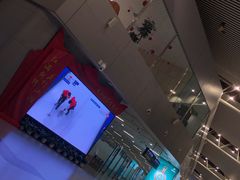 -合肥新桥国际机场-航站楼