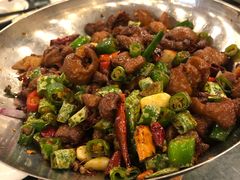 -重庆火锅水库鱼庄(南油店)