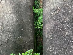 -火炉山森林公园