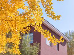 -辽宁大学(崇山校区)
