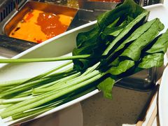 -海底捞火锅(龙岗星河COCO Park店)