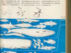-同济大学四平路校区深海探索馆