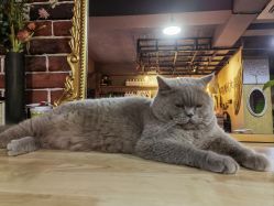 -青木造型HAIR·あおき髪を刈る潮人店