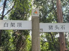 -火炉山森林公园